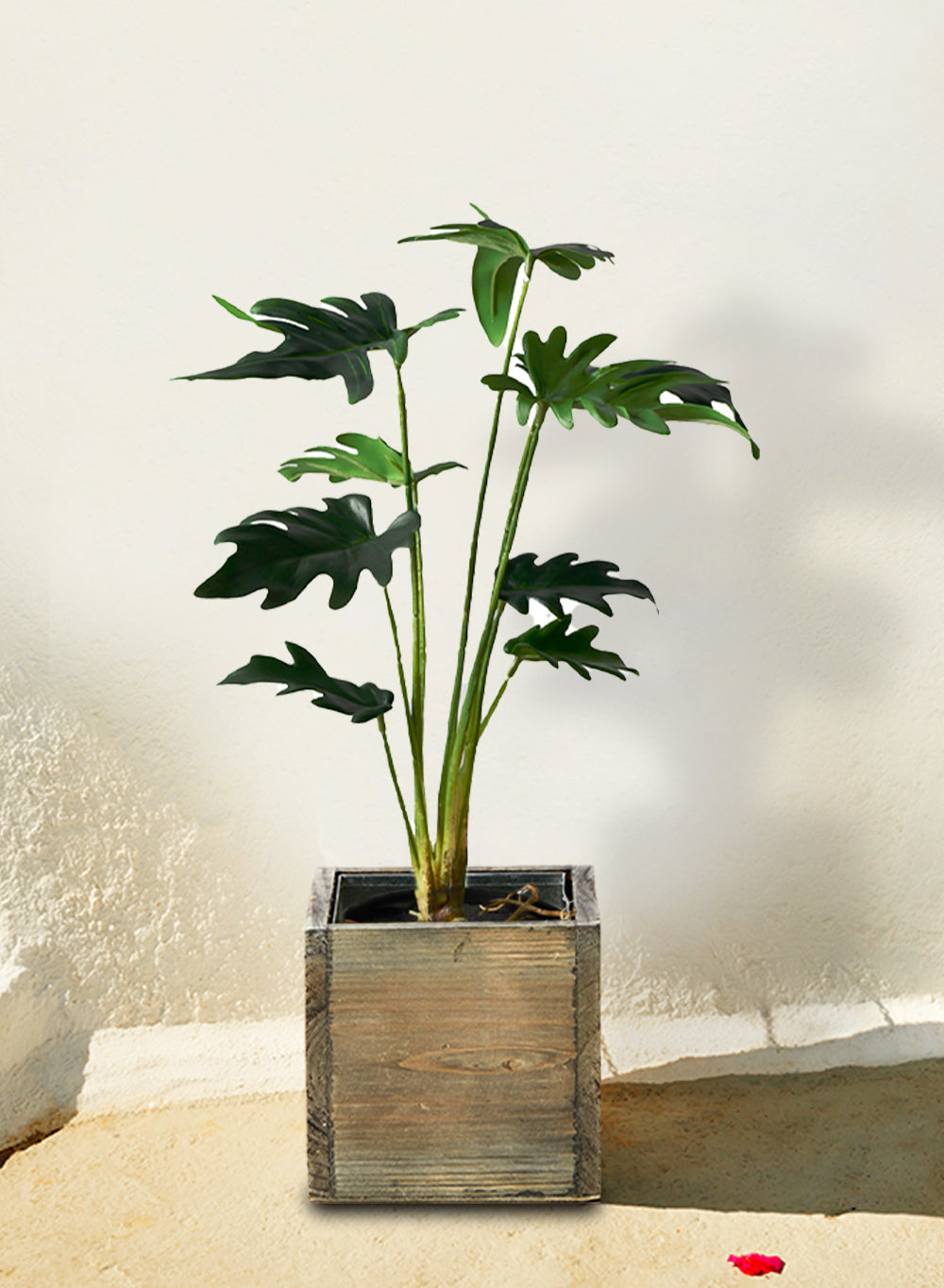 Faux Xanadu Philodendron in Black Pot, 8" Diameter & 17" Tall