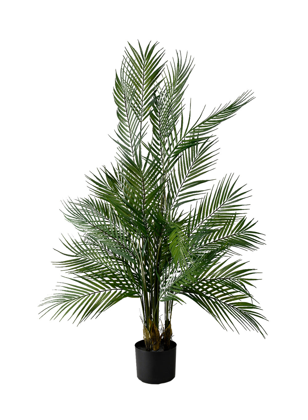 Artificial Hawaii Palm Tree in Black Pot, 25" Diameter & 45" Tall