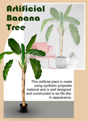 Artificial Banana Tree in Black Pot, 40" Diameter & 71" Tall