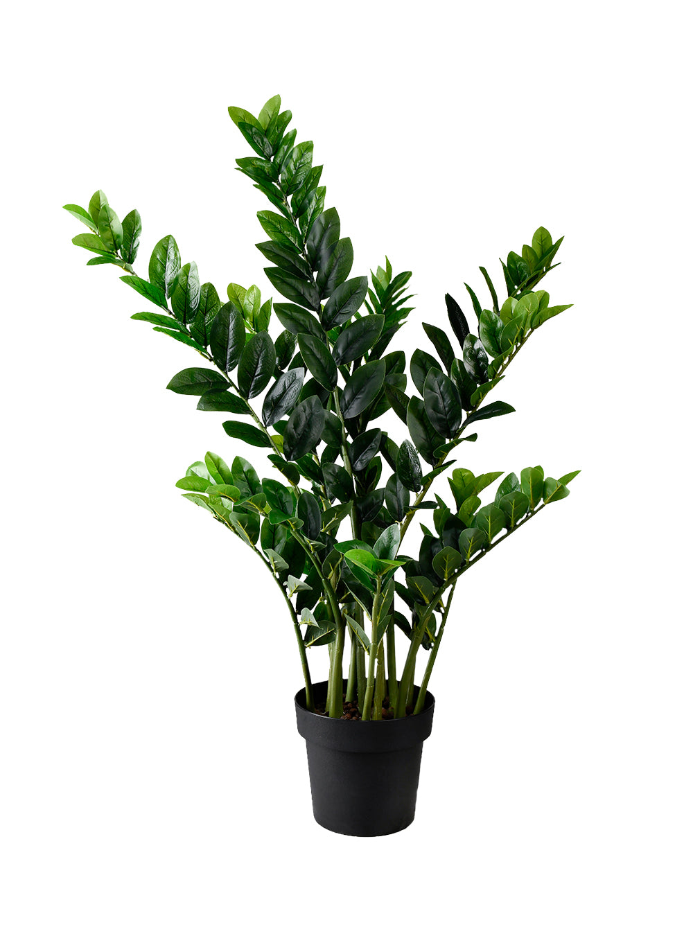 Artificial ZZ Zanzibar Gem Plant in Black Pot, 17" Diameter & 42" Tall