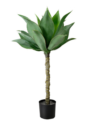 Artificial Agave Tree in Black Pot, 20" Diameter & 35" Tall