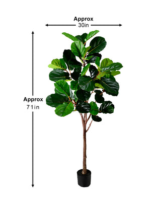 Artificial Fiddle Leaf Fig Plant in Black Pot, 30" Diameter & 71" Tall