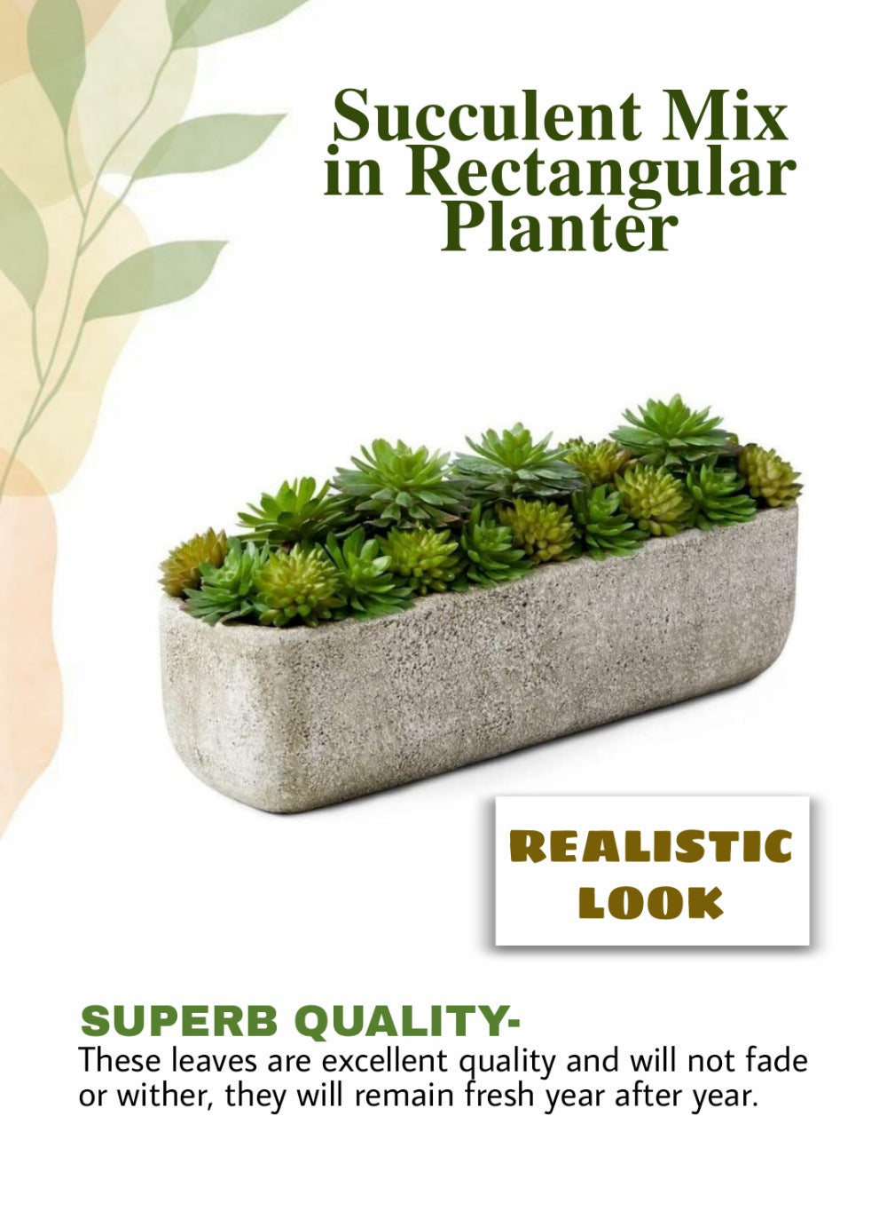 Serene Spaces Living Succulent Mix in Rectangular Planter, 11.5" L x 3" W x 5" H