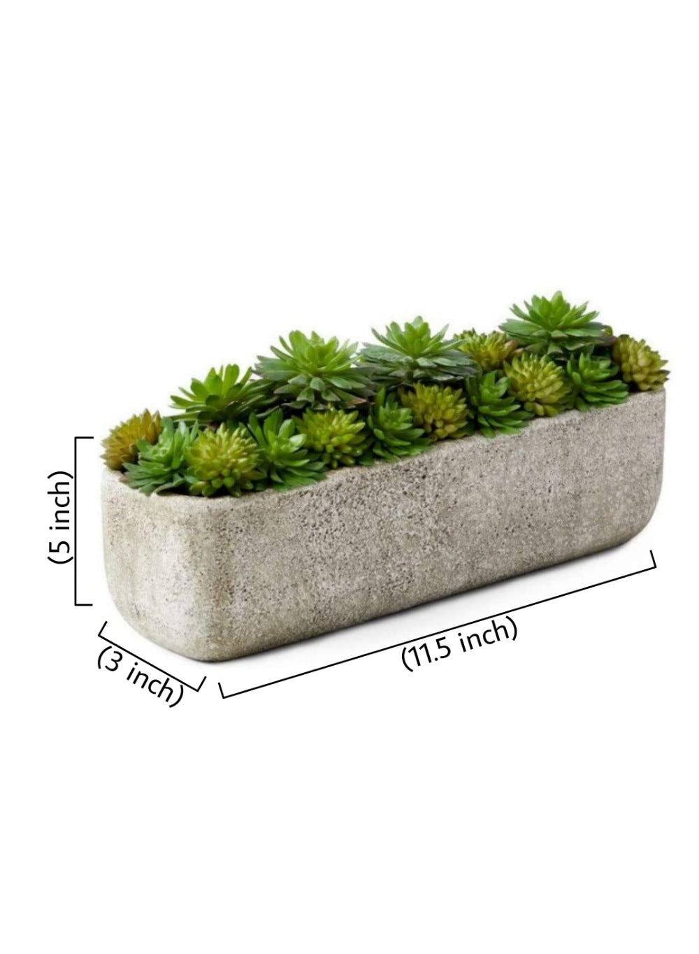 Serene Spaces Living Succulent Mix in Rectangular Planter, 11.5" L x 3" W x 5" H