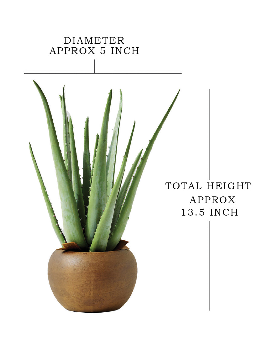 13.5" Faux Aloe Plant in Cement Pot