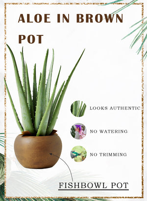 13.5" Faux Aloe Plant in Cement Pot