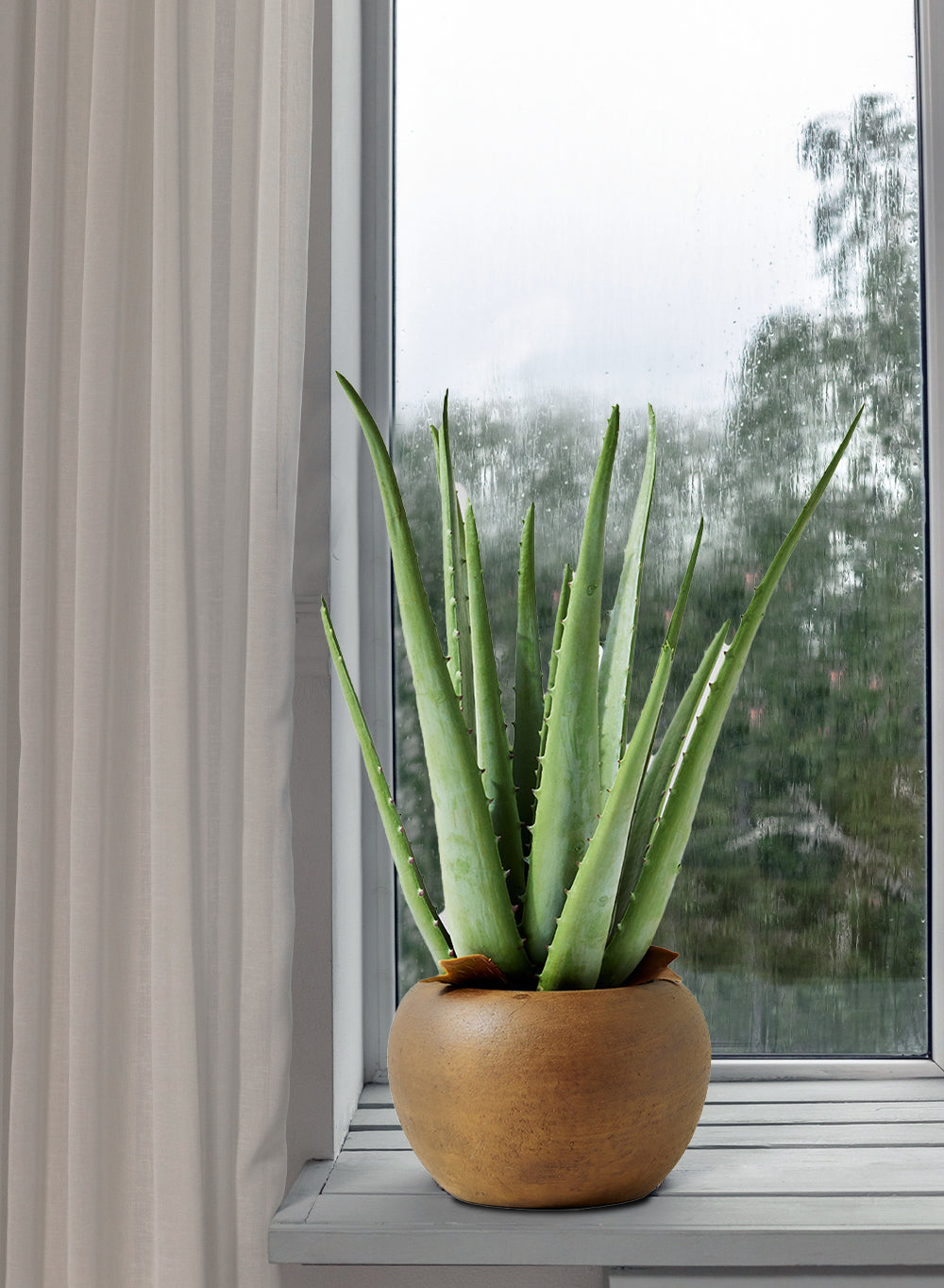 13.5" Faux Aloe Plant in Cement Pot