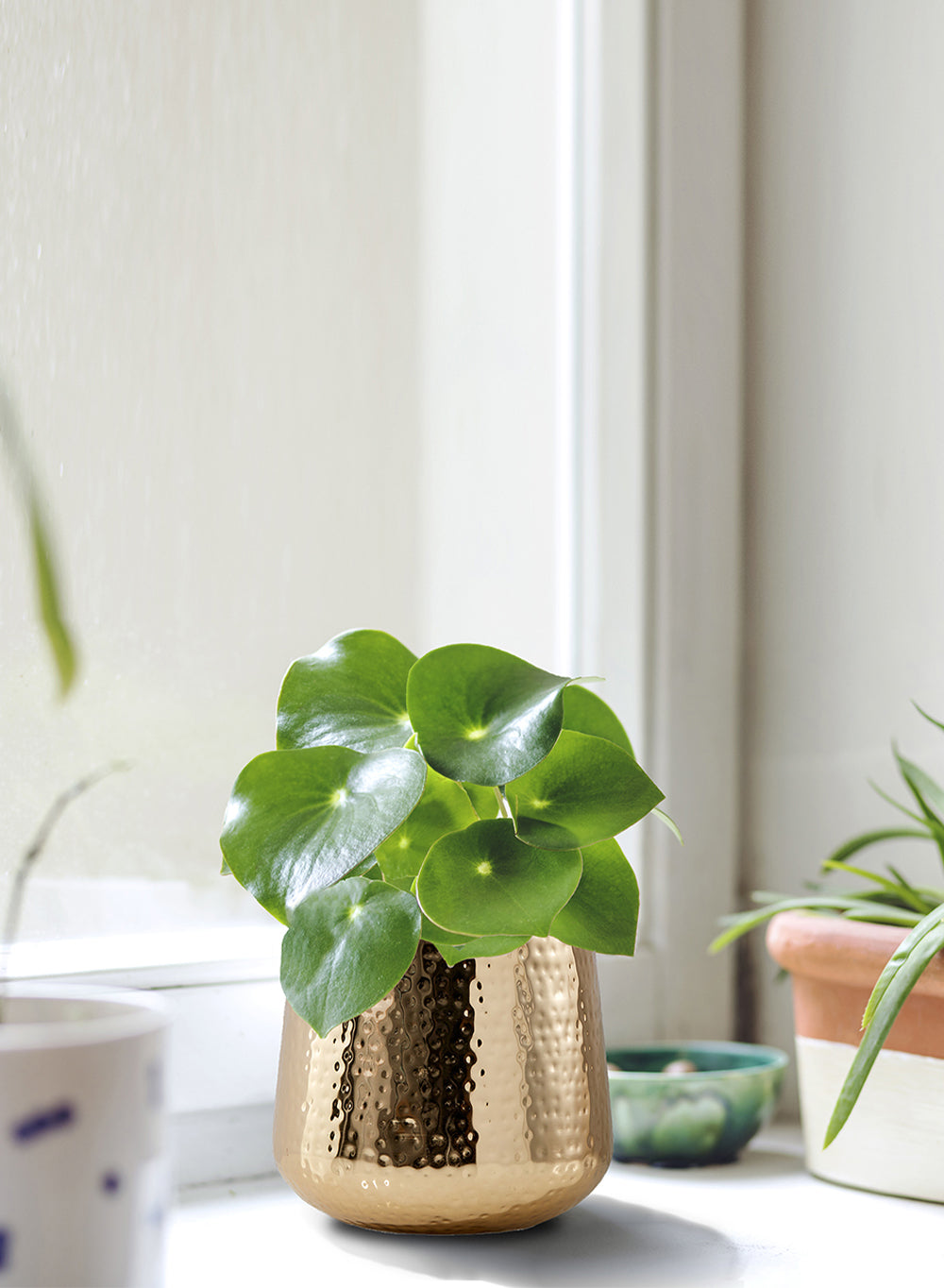 Shiny Hammered Gold Pot Vase, In 2 Sizes