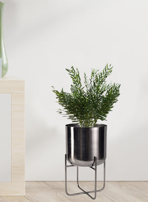 Black Nickel Planter with Detachable Stand, In 2 Sizes