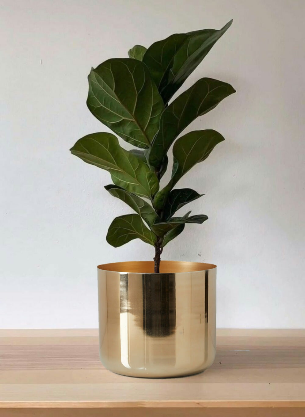 9" Gold-Finish Iron Indoor Planter