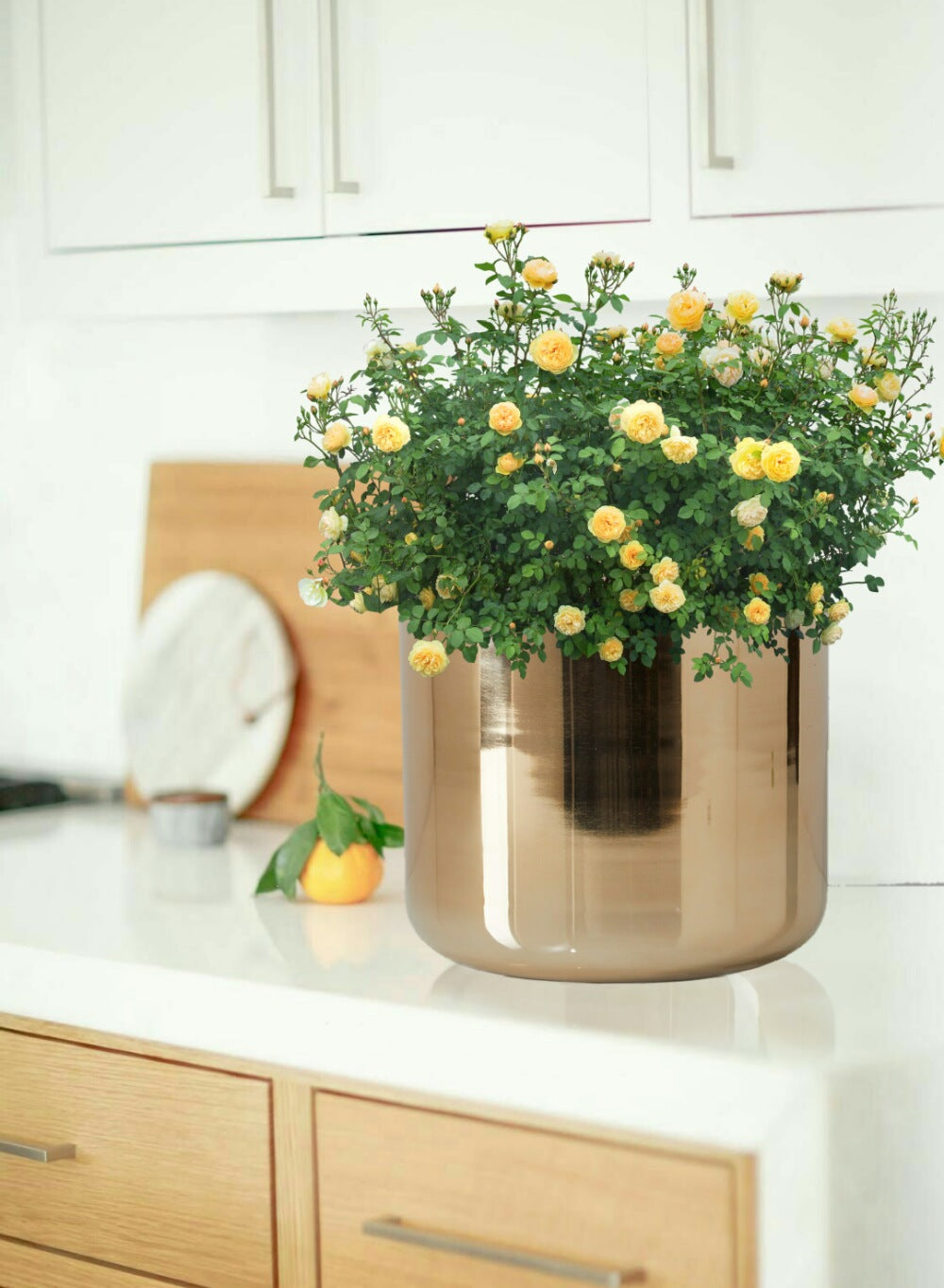 9" Gold-Finish Iron Indoor Planter