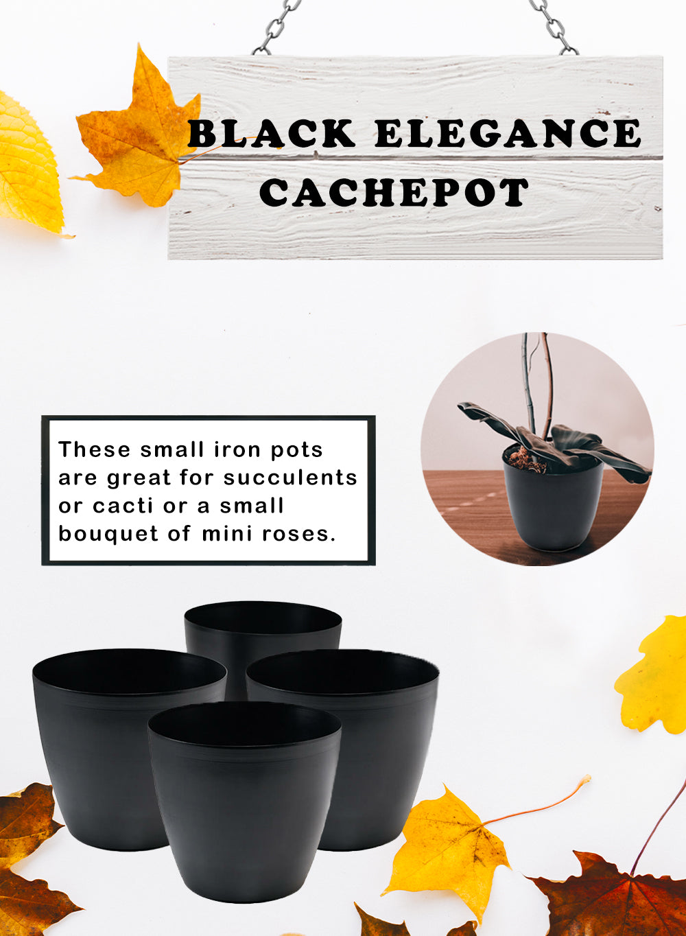 Metal Cachepot, in 3 Colors