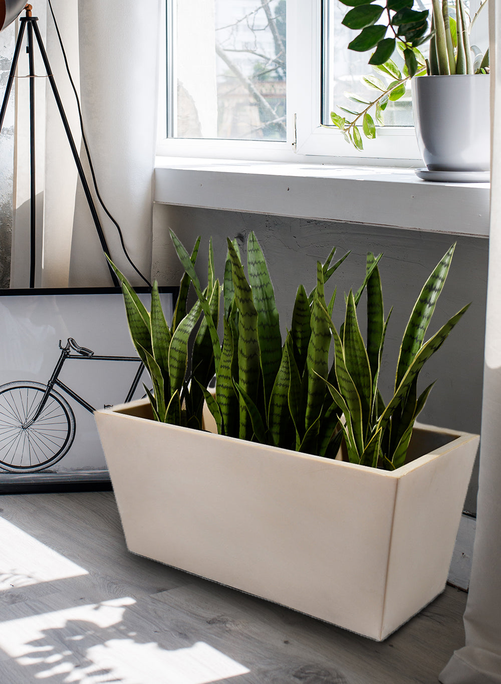 Vintage White Stone-Textured Planter Box, in 2 Sizes