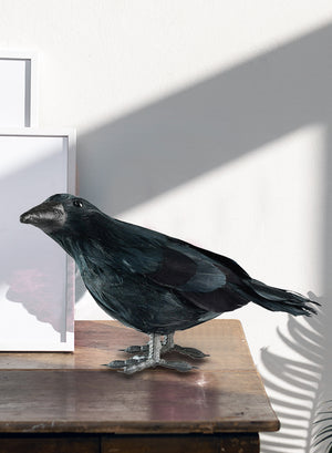 Black Crow Figurine, In 2 Style