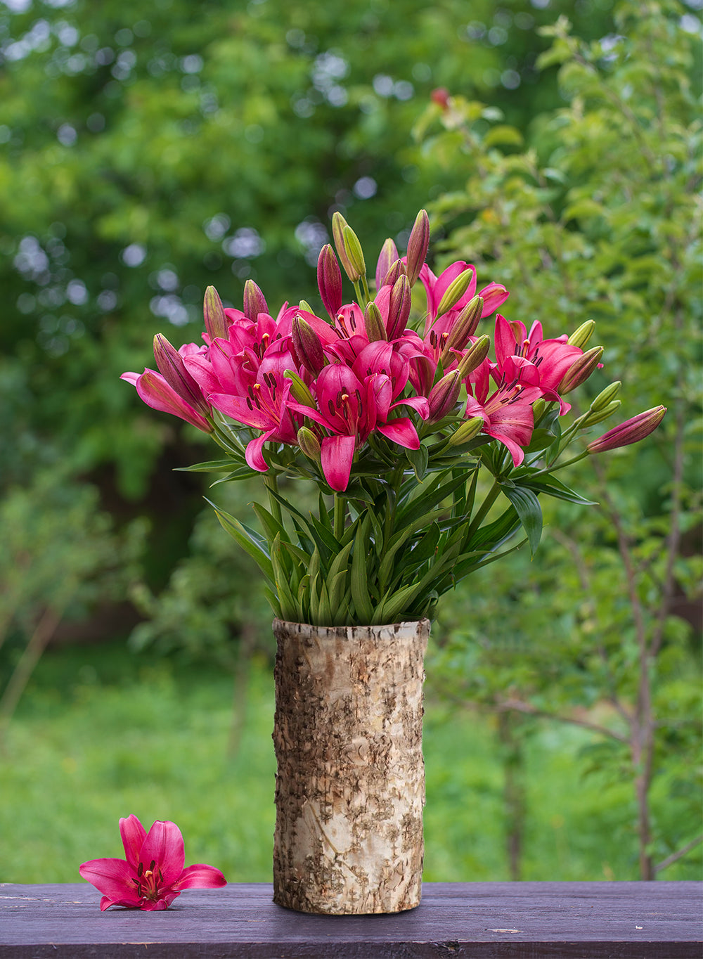 Birch Bark Glass Vase, in 5 Sizes