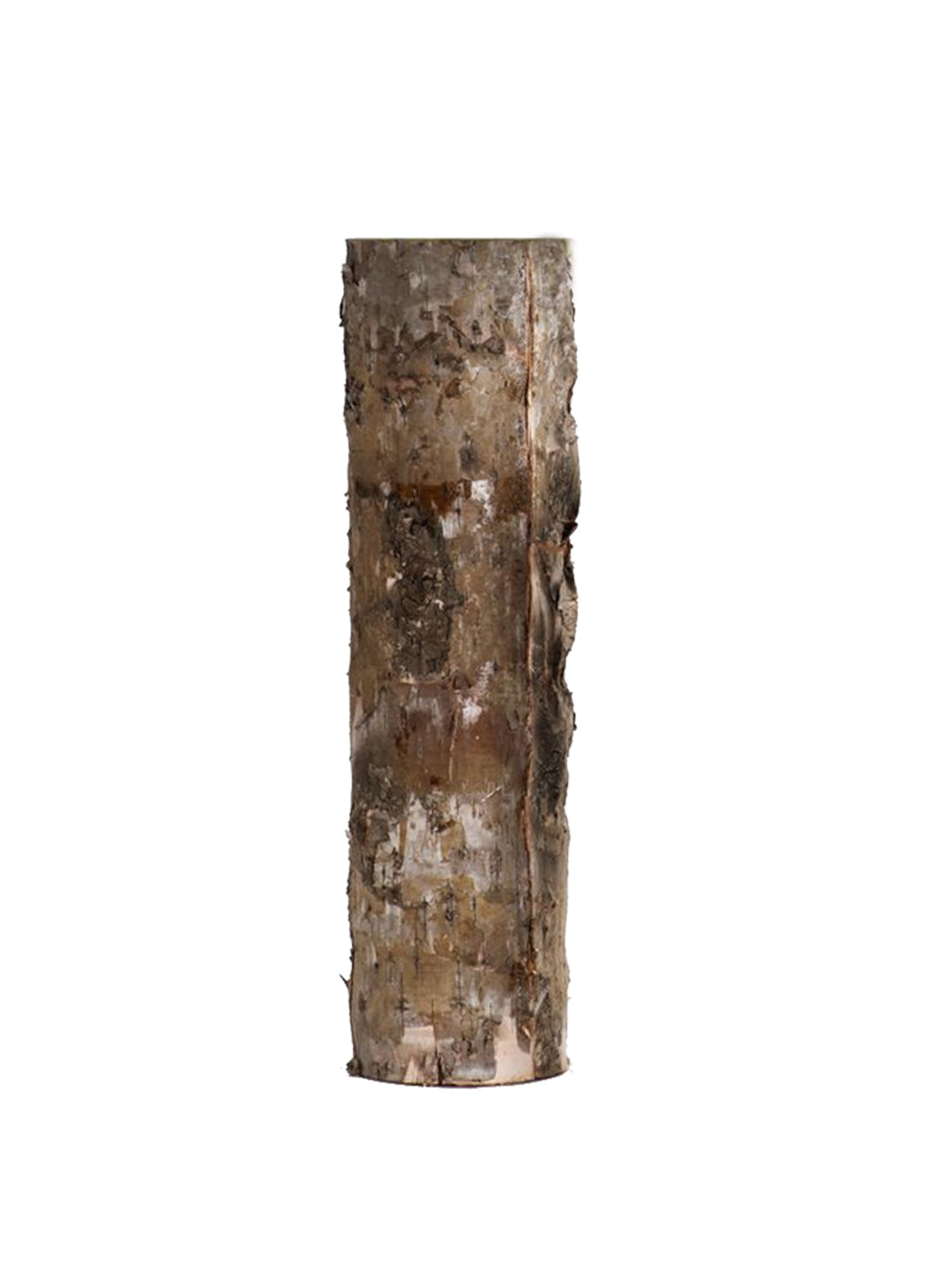 Birch Bark Glass Vase, in 5 Sizes