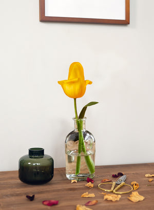 Serene Spaces Living Clear Medicine Bottle Bud Vases, Vintage Style Vases, Set of 48, 5.25" Tall & 2.5" in Diameter