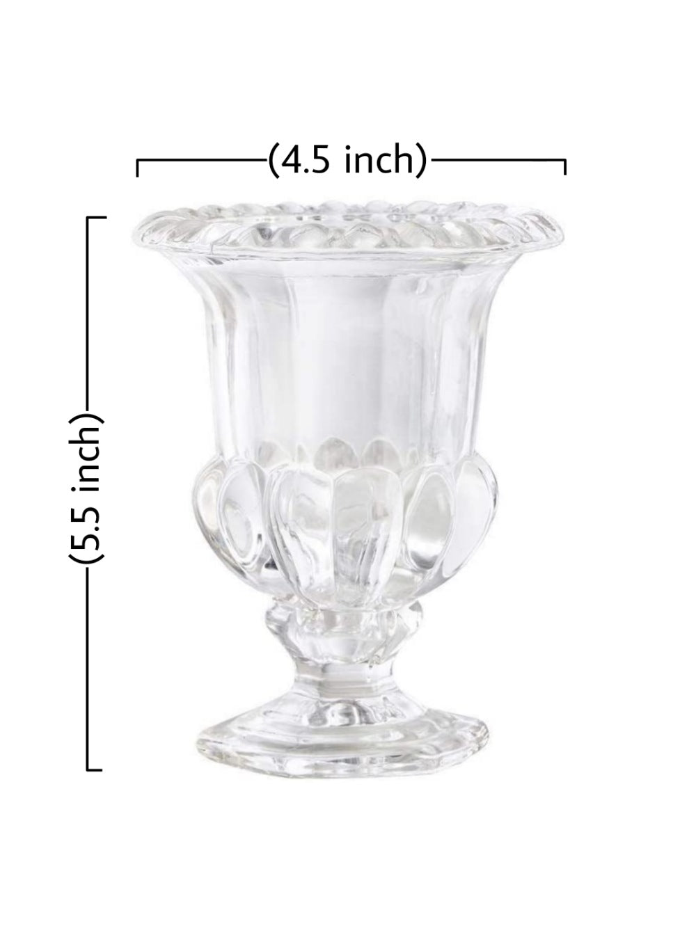 Victoria Glass Urn Vase, in 2 Sizes