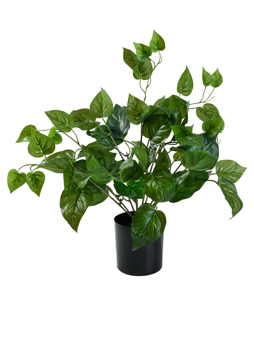 Artificial Pothos Plant in Black Pot, 10" Diameter & 16.5" Tall