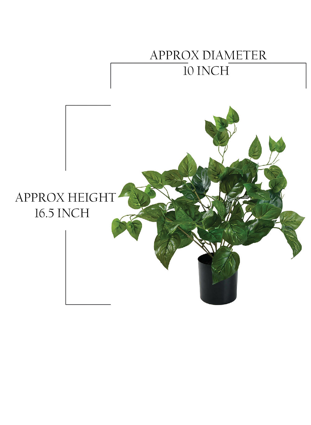 Artificial Pothos Plant in Black Pot, 10" Diameter & 16.5" Tall