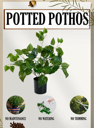 Artificial Pothos Plant in Black Pot, 10" Diameter & 16.5" Tall