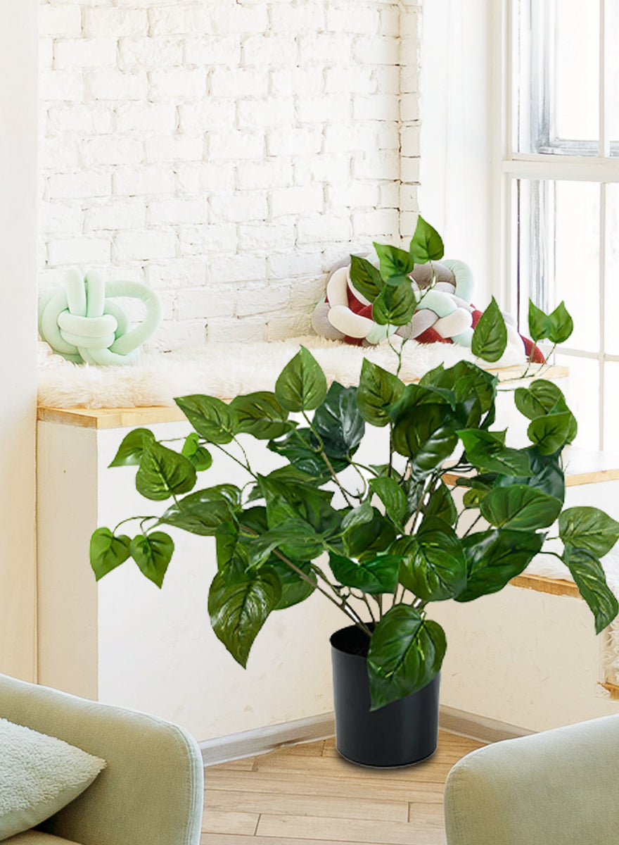 Pothos Plant in Black Pot | Artificial Plant