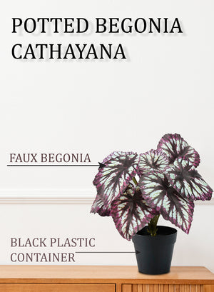 Artificial Begonia Cathayana in Classic Black Pot, 8" Diameter & 13" Tall