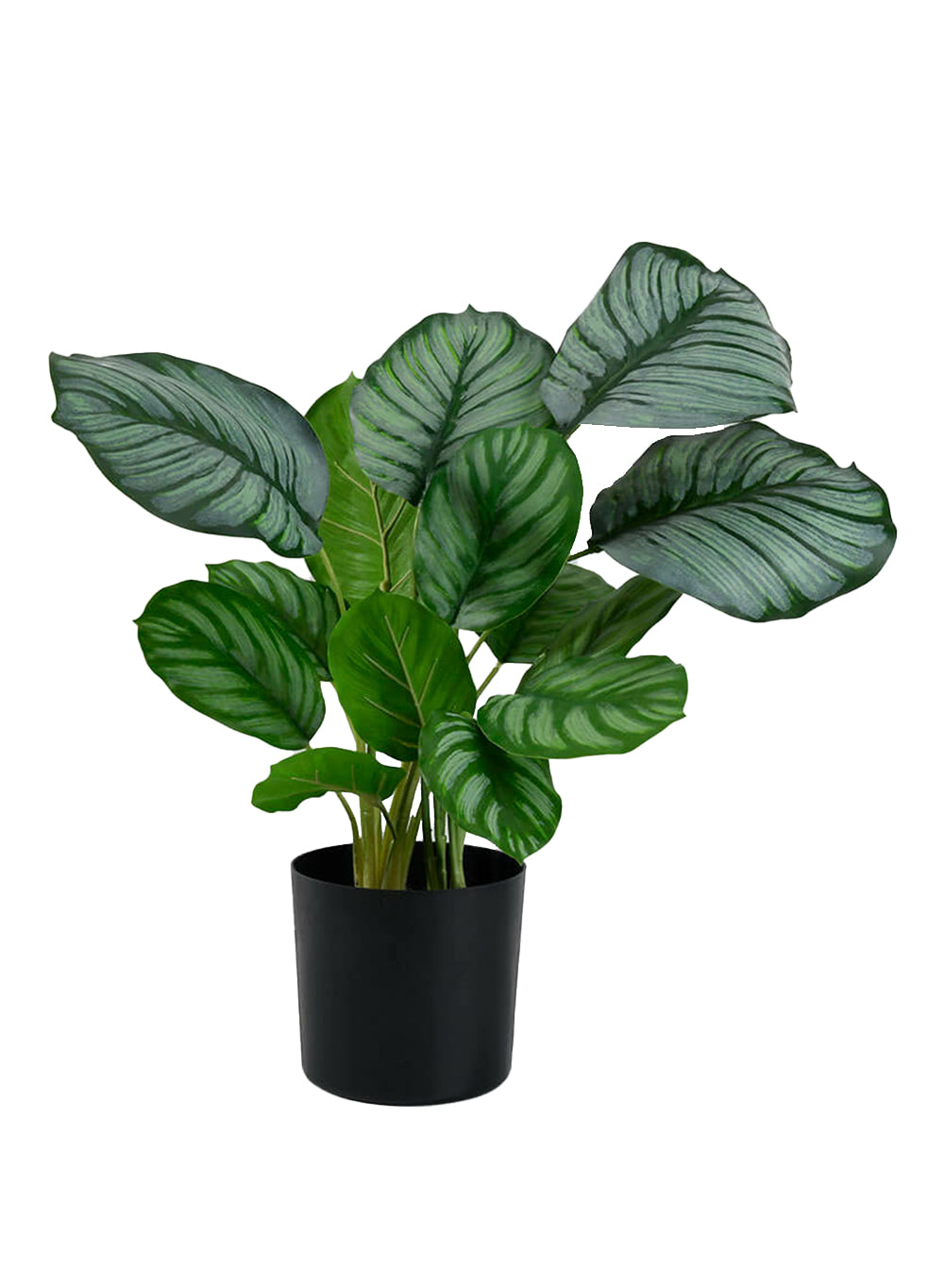 Artificial Maranta Plant in Classic Black Pot, 12" Diameter & 18" Tall