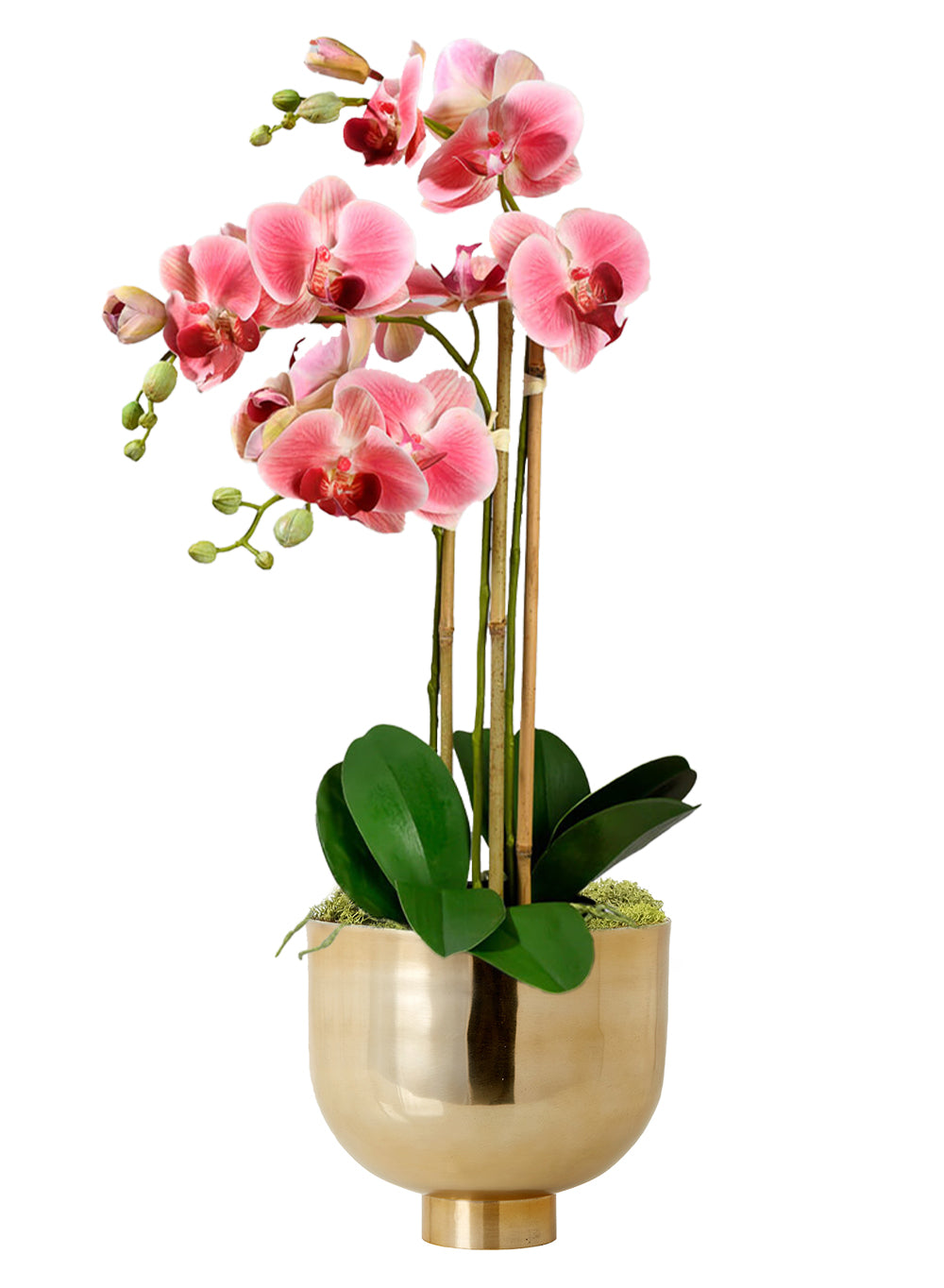 DIY Orchid Kit: Contains Faux Potted Plant, Gold Bowl & Moss