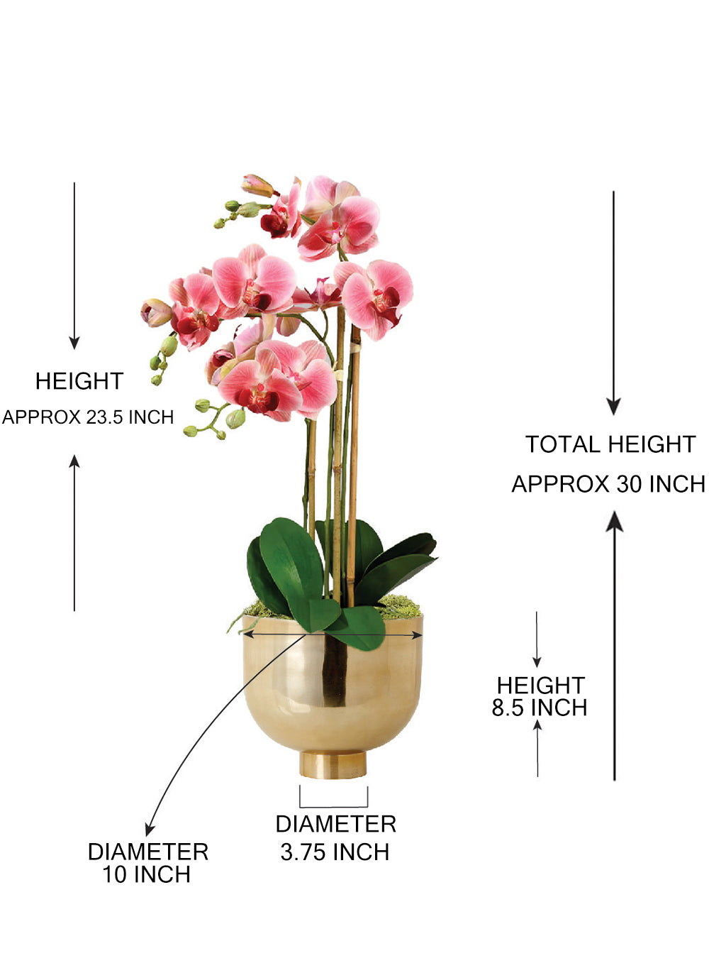 DIY Orchid Kit: Contains Faux Potted Plant, Gold Bowl & Moss