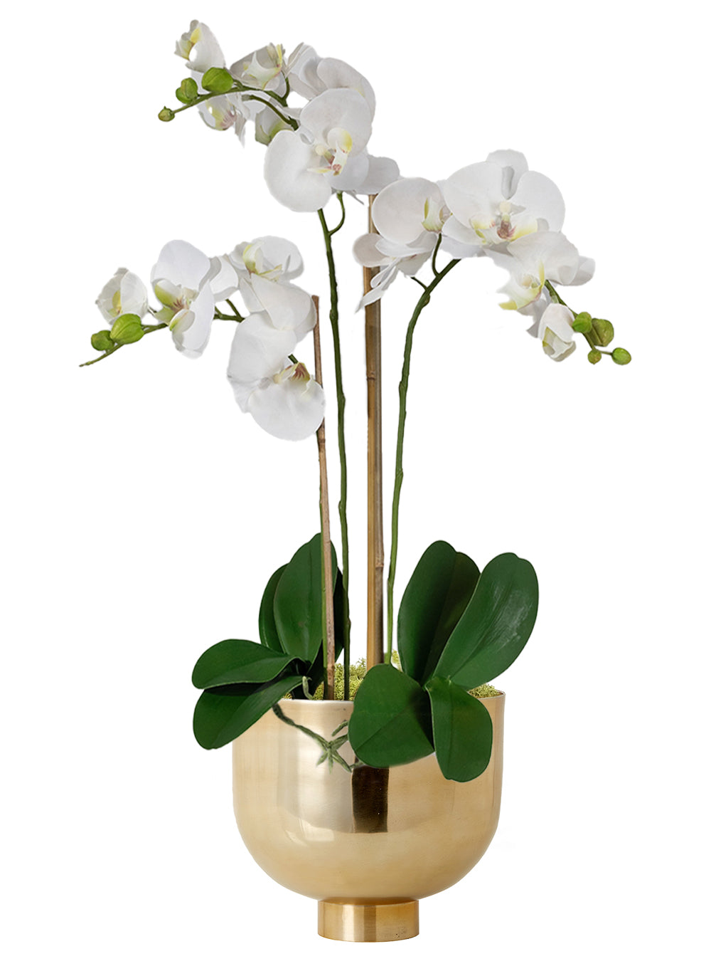 DIY Orchid Kit: Contains Faux Potted Plant, Gold Bowl & Moss