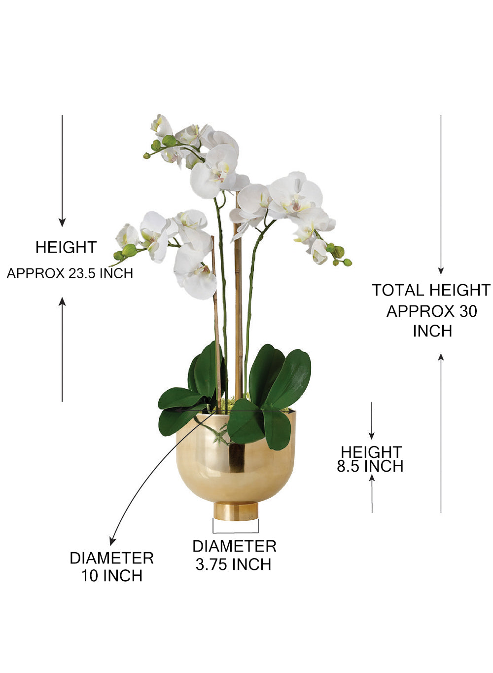 DIY Orchid Kit: Contains Faux Potted Plant, Gold Bowl & Moss