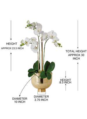 DIY Orchid Kit: Contains Faux Potted Plant, Gold Bowl & Moss
