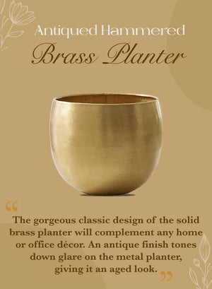 Antiqued Hammered Brass Planters