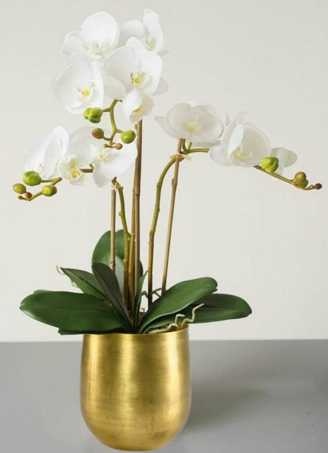 Raw Brass Vase, In 2 Sizes