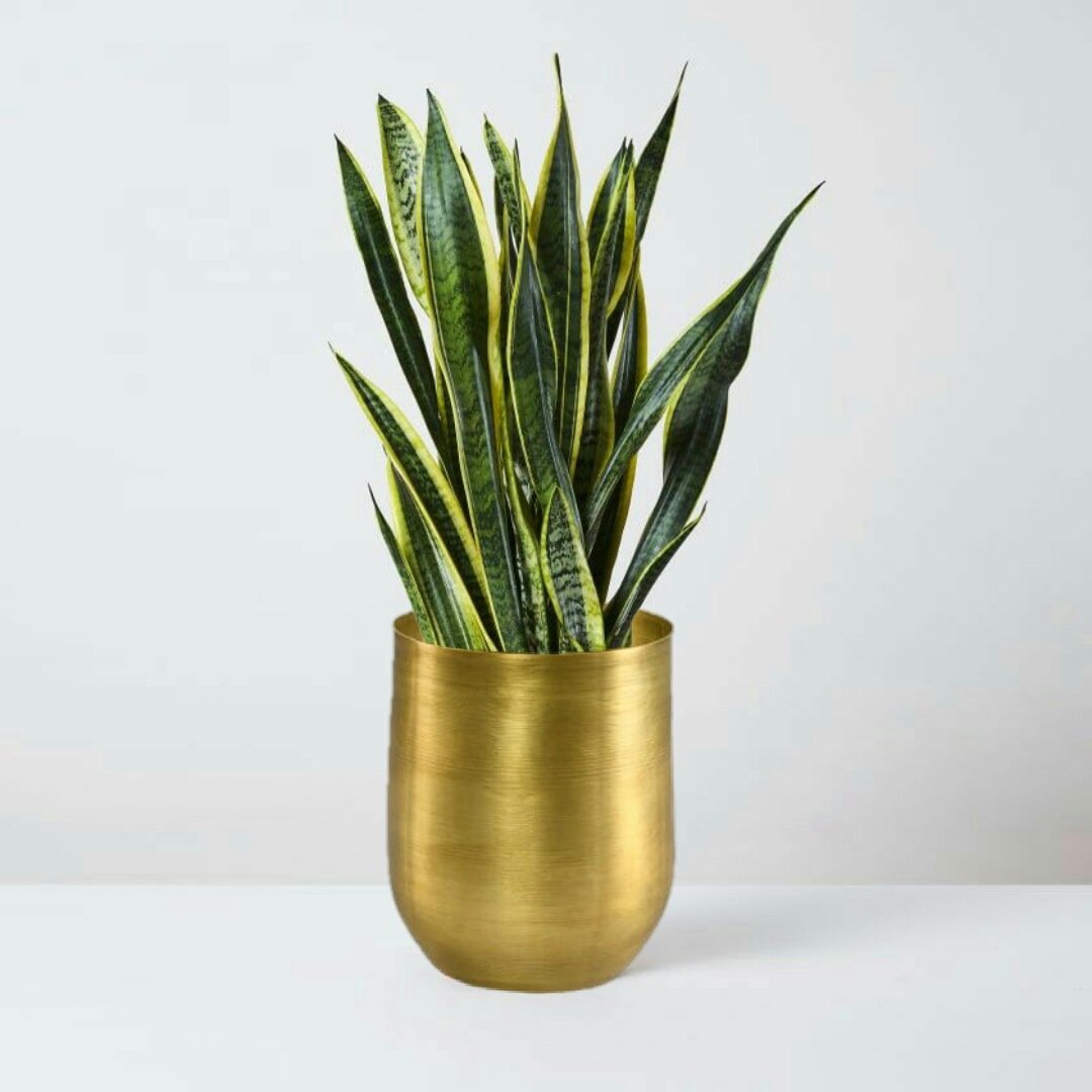 Raw Brass Vase, In 2 Sizes