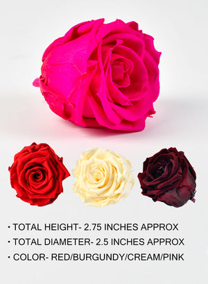 Preserved Real Rose, In 4 Colors-Set of 6