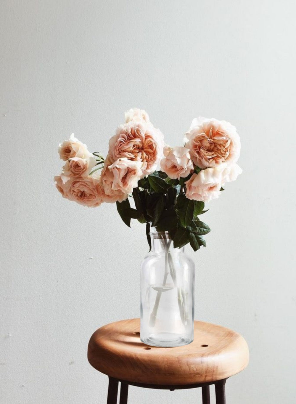 Clear Glass Bottle Vase with Cork, In 3 Sizes