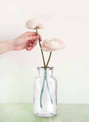 Clear Glass Bottle Vase with Cork, In 3 Sizes