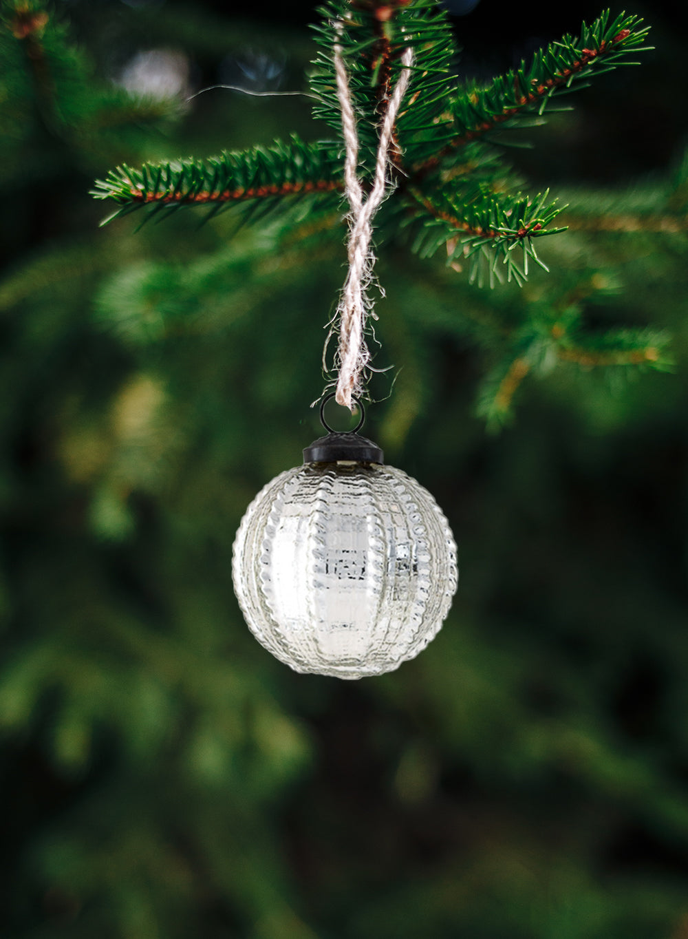 Serene Spaces Living Clear/ Silver Glass Ornament Ball for Christmas, 3 inch Dia, 3 inch Tall in 2 Styles