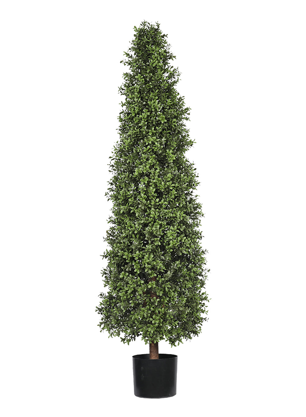 Faux Boxwood Topiary Tree in Pot, in 5 Designs