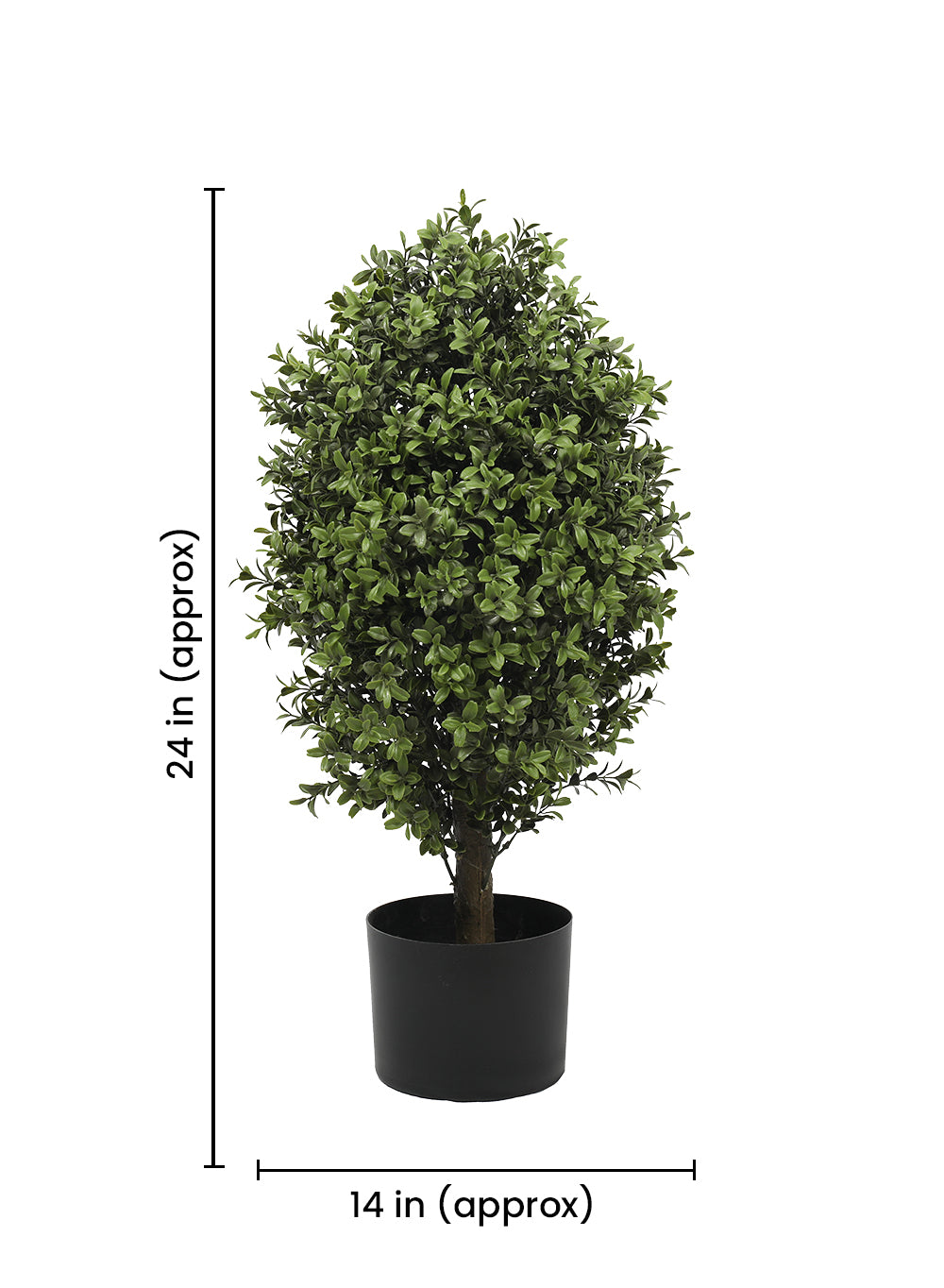 Faux Boxwood Topiary Tree in Pot, in 5 Designs