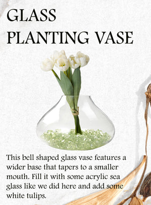Planting Vase Clear Bell-Shaped Made Of Glass Terrarium, in 2 Sizes Serene Spaces Living