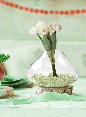 Planting Vase Clear Bell-Shaped Made Of Glass Terrarium, in 2 Sizes Serene Spaces Living
