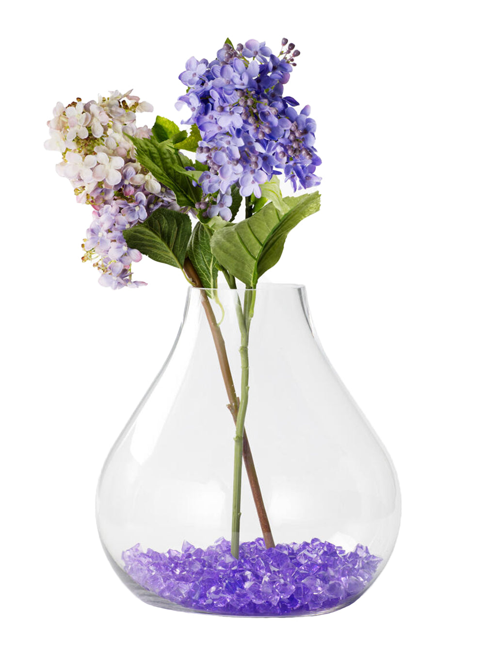 Clear Bell-Shaped Glass Terrarium, in 2 Sizes