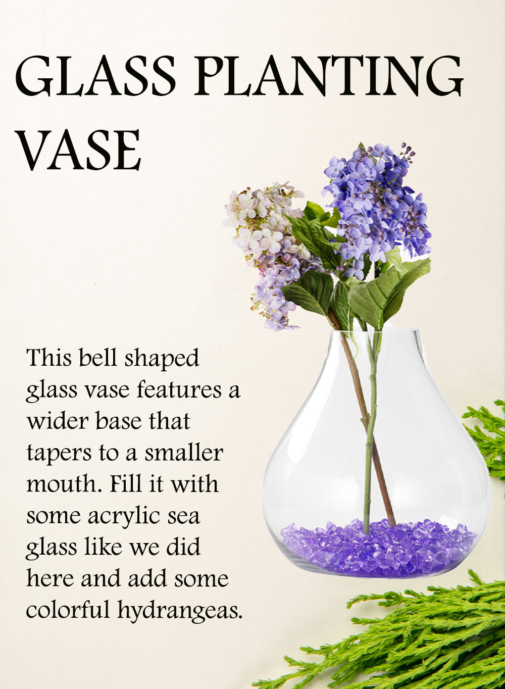 Clear Bell-Shaped Glass Terrarium, in 2 Sizes