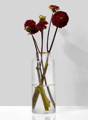 Serene Spaces Living Gold-Rimmed Clear Glass Cylinder Vase, in 2 Sizes