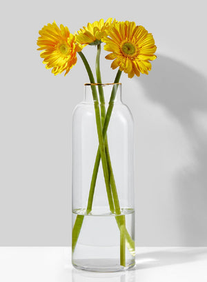 Serene Spaces Living Gold-Rimmed Clear Glass Cylinder Vase, in 2 Sizes