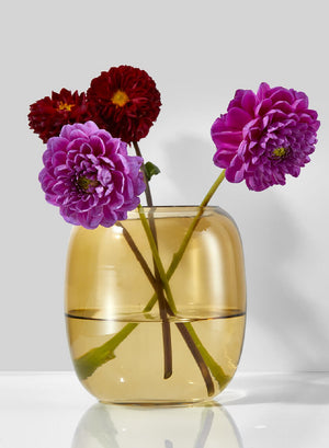 Serene Spaces Living Amber Capsule Glass Floral Vase, 4.25" Diameter & 5" Tall