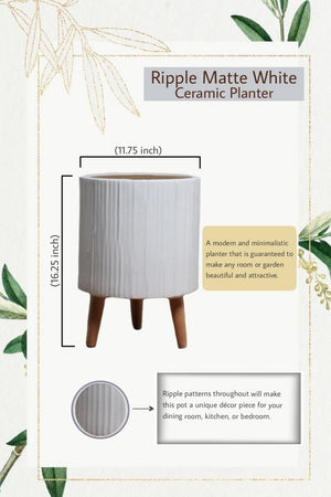 16.25" Ripple White Ceramic Pot with Wooden Legs